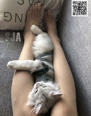 美国式禁忌4_HD720P欧美电影在线