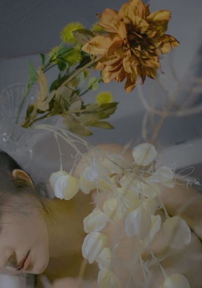 花开有时颓靡无声_国产剧高清完整版播放